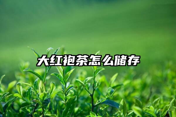 大红袍茶怎么储存