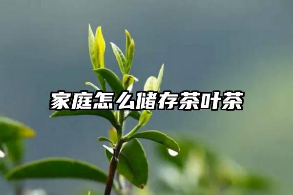 家庭怎么储存茶叶茶