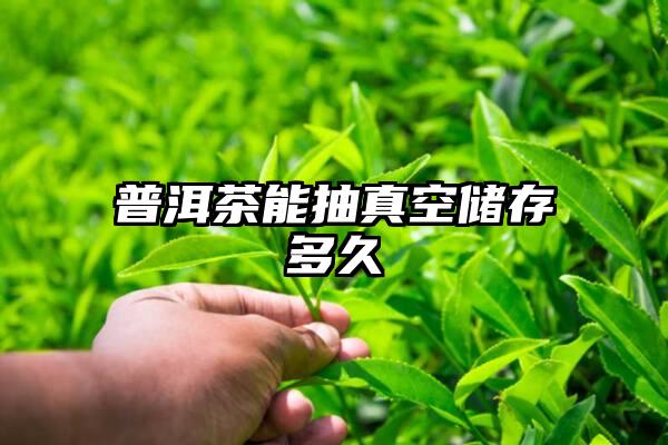 普洱茶能抽真空储存多久