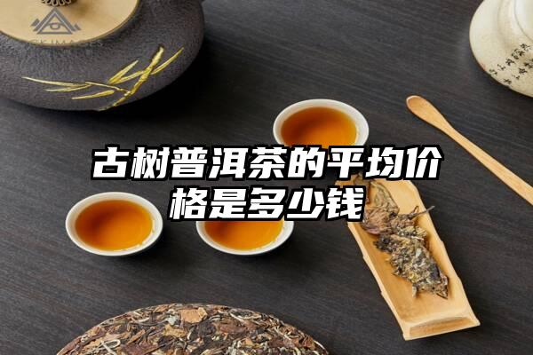 古树普洱茶的平均价格是多少钱