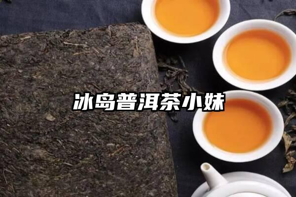 冰岛普洱茶小妹