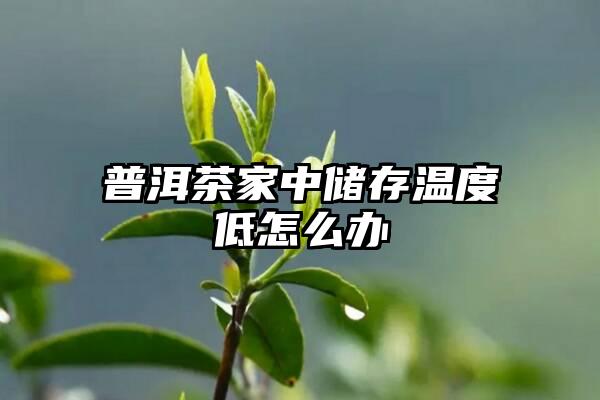 普洱茶家中储存温度低怎么办