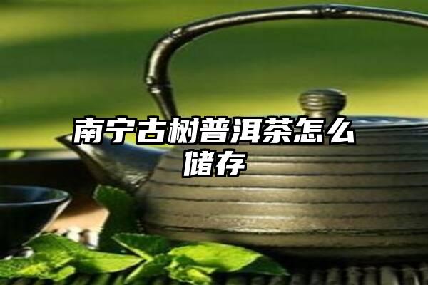 南宁古树普洱茶怎么储存