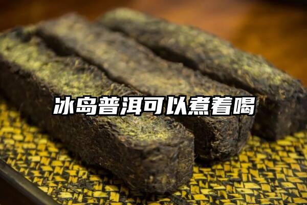 冰岛普洱可以煮着喝