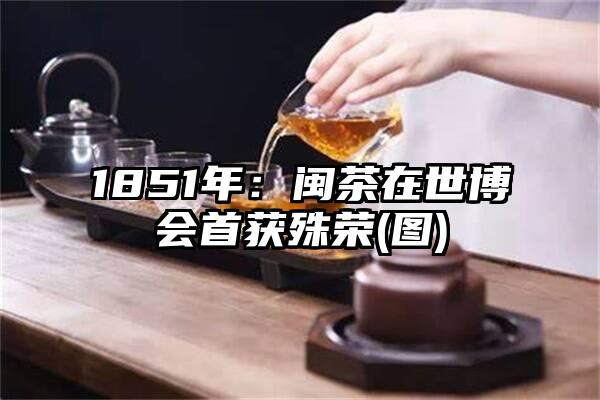 1851年：闽茶在世博会首获殊荣(图)