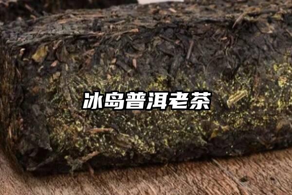 冰岛普洱老茶