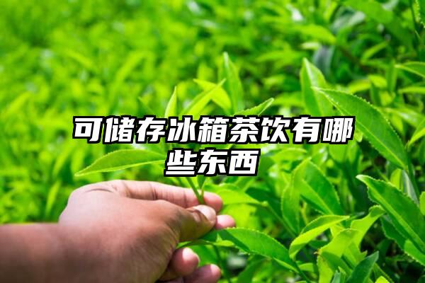 可储存冰箱茶饮有哪些东西