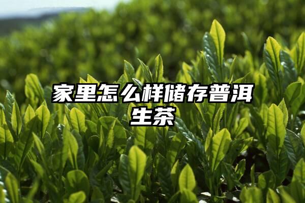 家里怎么样储存普洱生茶