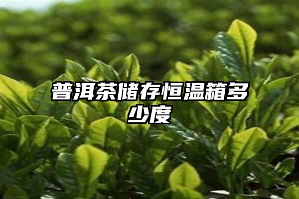 普洱茶储存恒温箱多少度