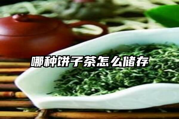 哪种饼子茶怎么储存