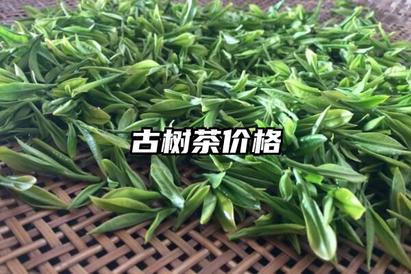 古树茶价格