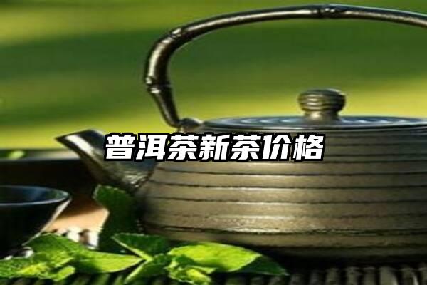 普洱茶新茶价格