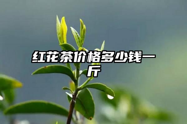 红花茶价格多少钱一斤