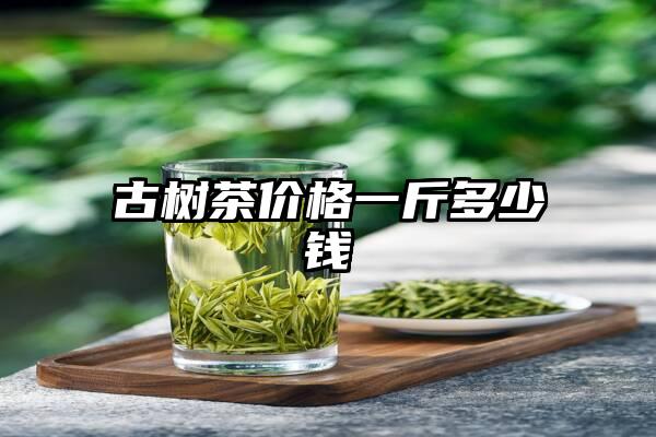 古树茶价格一斤多少钱