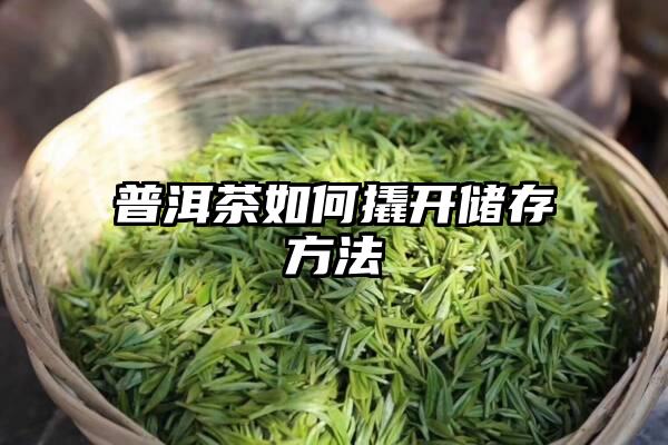 普洱茶如何撬开储存方法