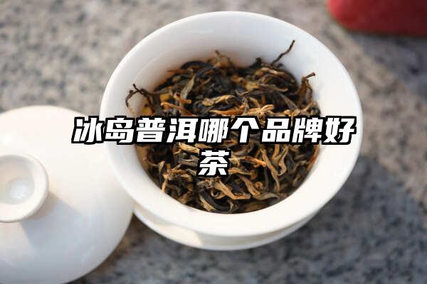 冰岛普洱哪个品牌好茶