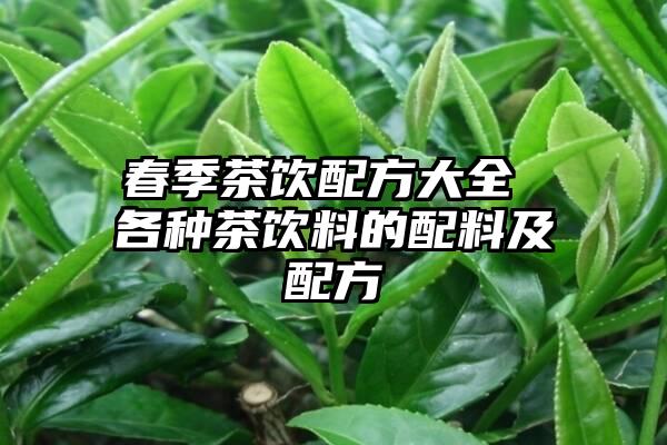 春季茶饮配方大全 各种茶饮料的配料及配方