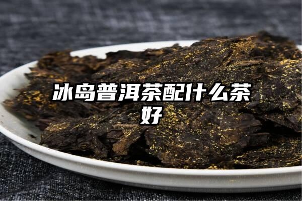 冰岛普洱茶配什么茶好