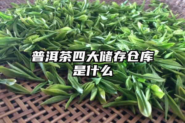 普洱茶四大储存仓库是什么