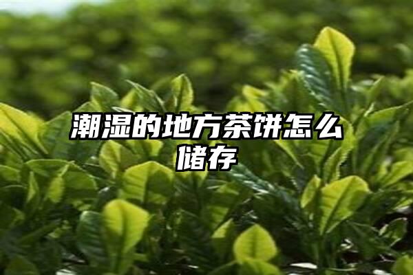 潮湿的地方茶饼怎么储存