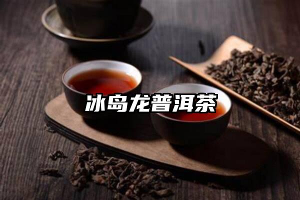 冰岛龙普洱茶