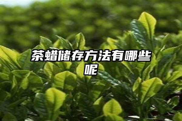 茶蜡储存方法有哪些呢