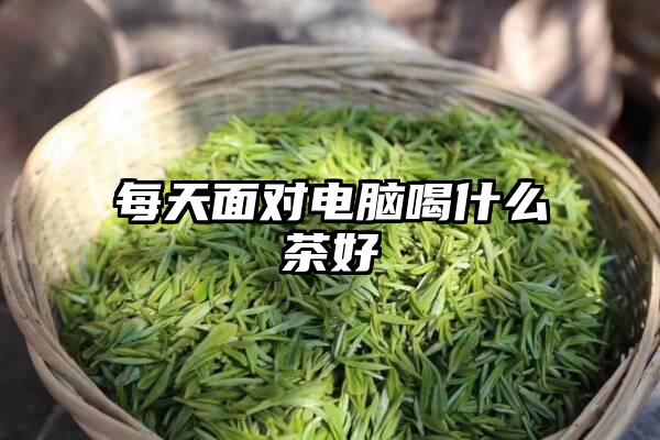 每天面对电脑喝什么茶好