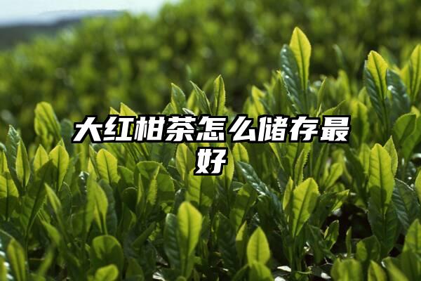 大红柑茶怎么储存最好