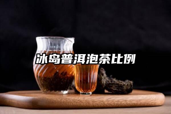 冰岛普洱泡茶比例