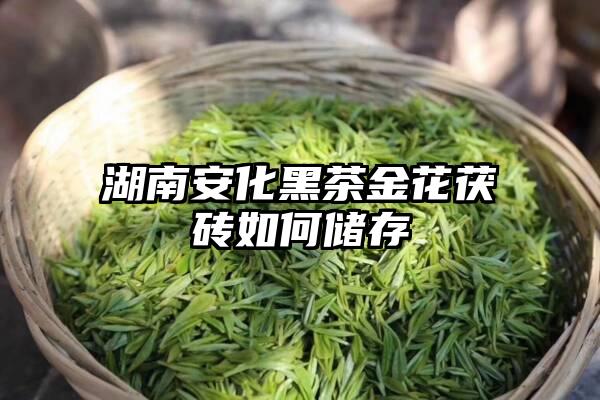 湖南安化黑茶金花茯砖如何储存