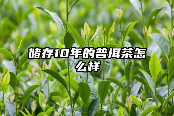 储存10年的普洱茶怎么样