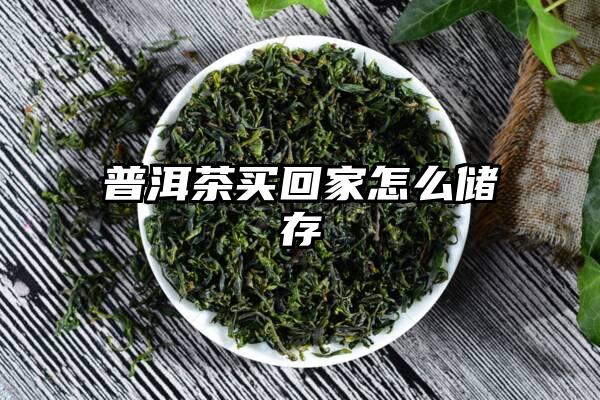 普洱茶买回家怎么储存