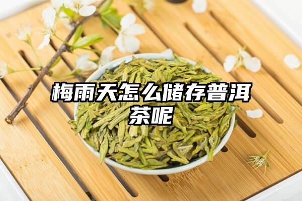 梅雨天怎么储存普洱茶呢