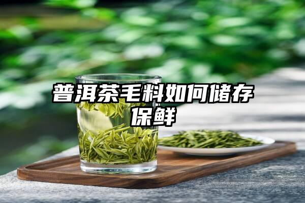 普洱茶毛料如何储存保鲜