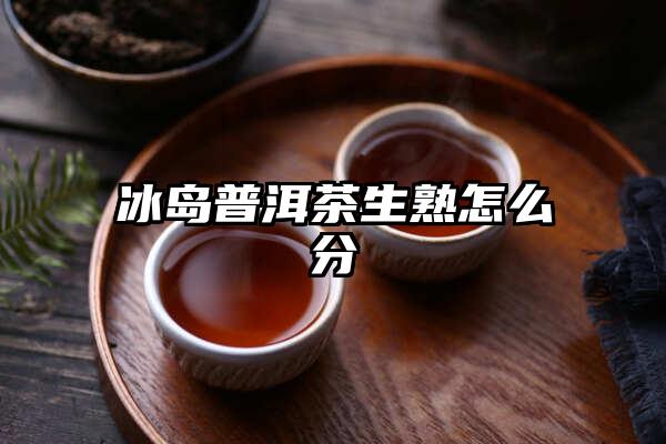 冰岛普洱茶生熟怎么分