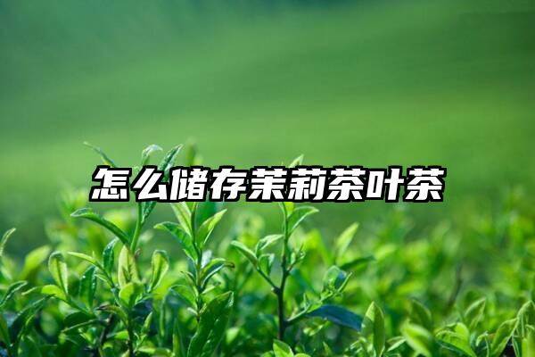 怎么储存茉莉茶叶茶