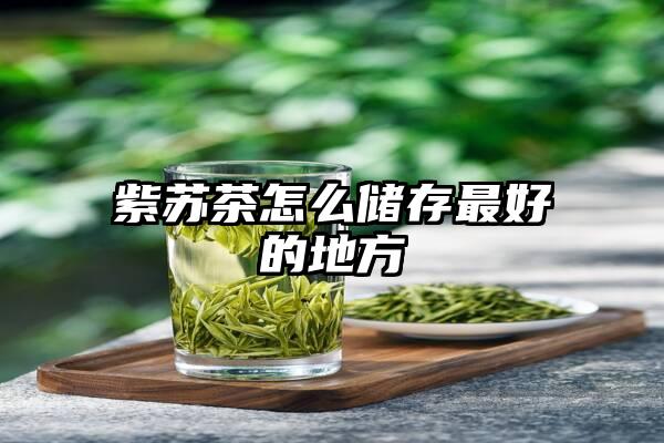 紫苏茶怎么储存最好的地方