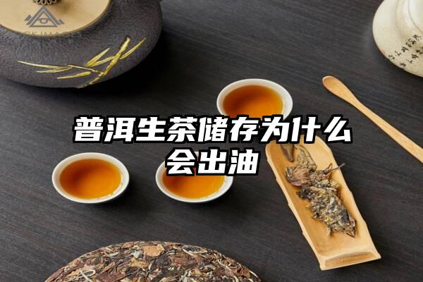 普洱生茶储存为什么会出油