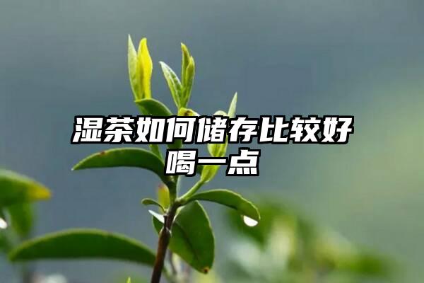 湿茶如何储存比较好喝一点