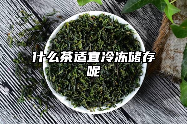 什么茶适宜冷冻储存呢