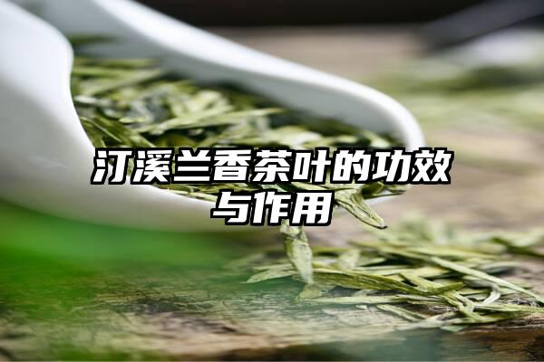 汀溪兰香茶叶的功效与作用