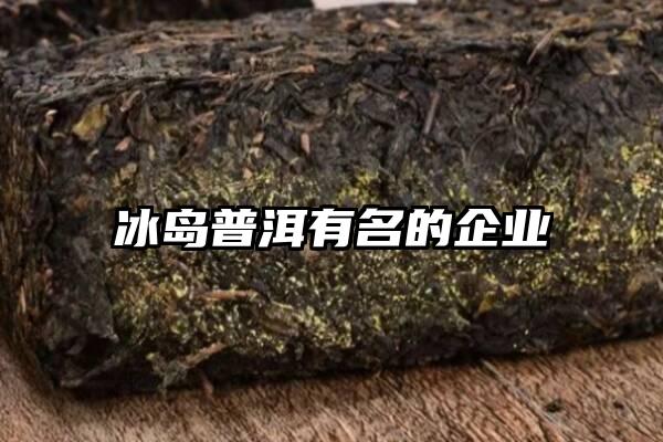 冰岛普洱有名的企业