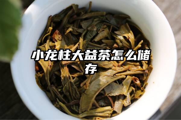 小龙柱大益茶怎么储存