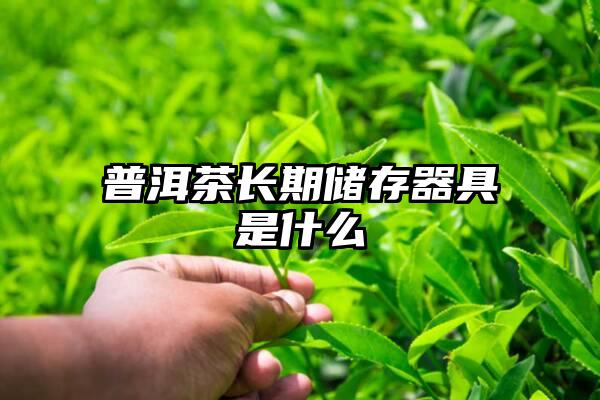 普洱茶长期储存器具是什么