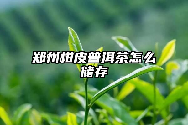 郑州柑皮普洱茶怎么储存