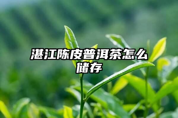 湛江陈皮普洱茶怎么储存