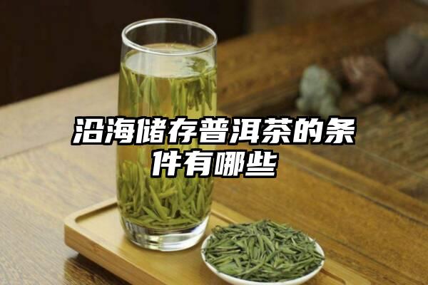 沿海储存普洱茶的条件有哪些