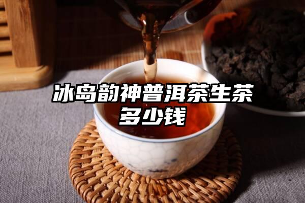 冰岛韵神普洱茶生茶多少钱