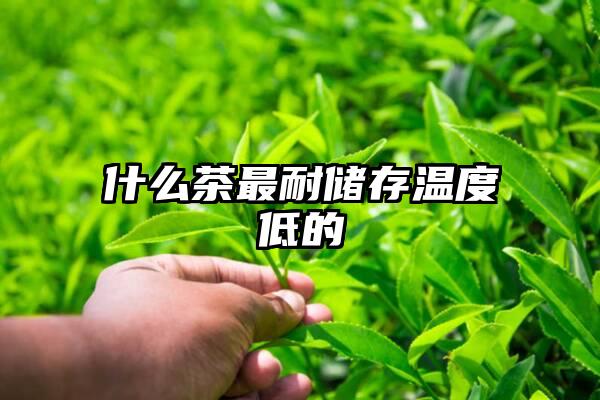 什么茶最耐储存温度低的