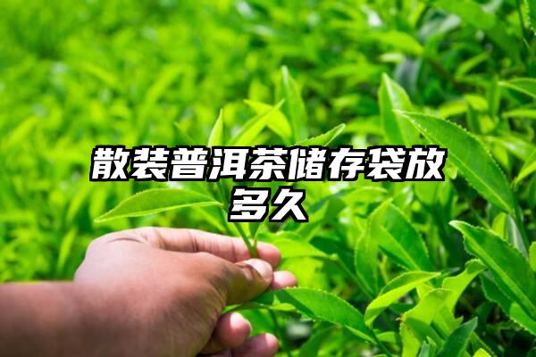 散装普洱茶储存袋放多久